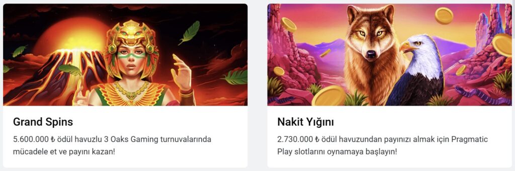 Leon Casino tanıtımının önizlemesi #2